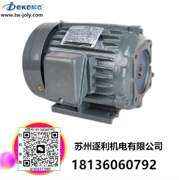 Dekema德克瑪 油泵電機組合 2HP/1.5KW配VP20葉片泵 液壓站